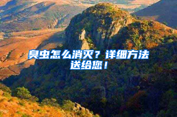 臭蟲怎么消滅？詳細方法送給您！