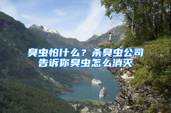 臭蟲怕什么？殺臭蟲公司告訴你臭蟲怎么消滅