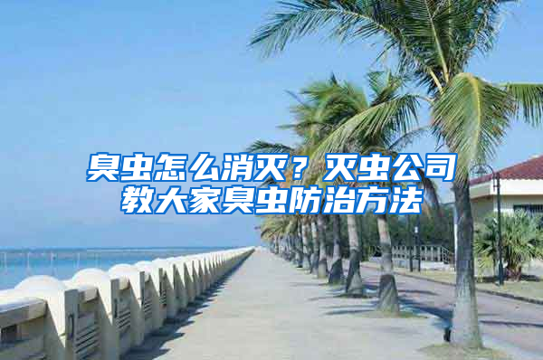 臭蟲怎么消滅？滅蟲公司教大家臭蟲防治方法