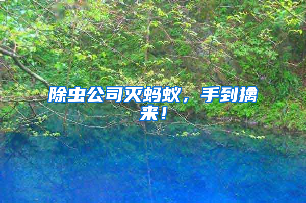 除蟲公司滅螞蟻，手到擒來！